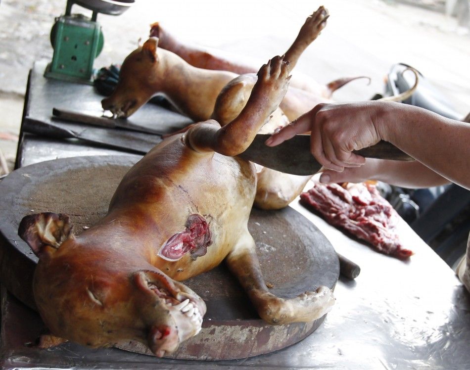 Slaughtered Dogs for Sale