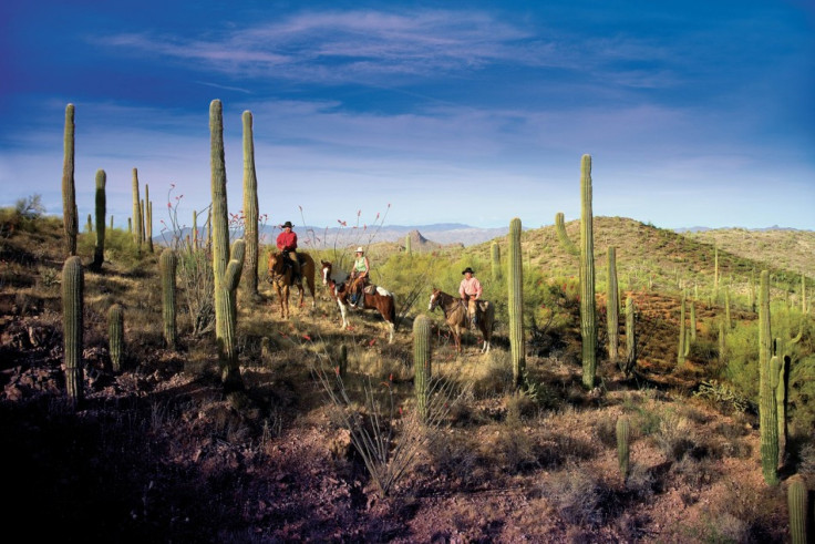 Ranch, Arizona