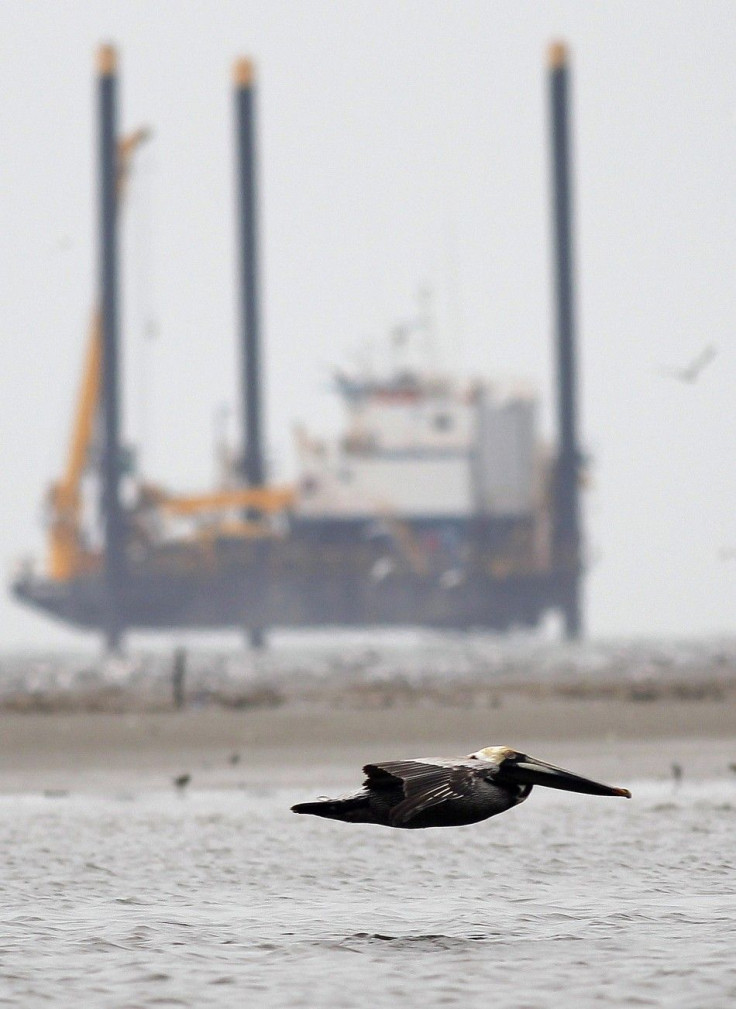 A pelican flies as a drilling platform is pictured near Breton Island, Louisiana May 3, 2010.