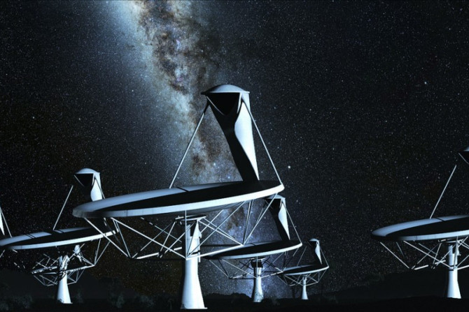 SKA telescope&#039;s antennas