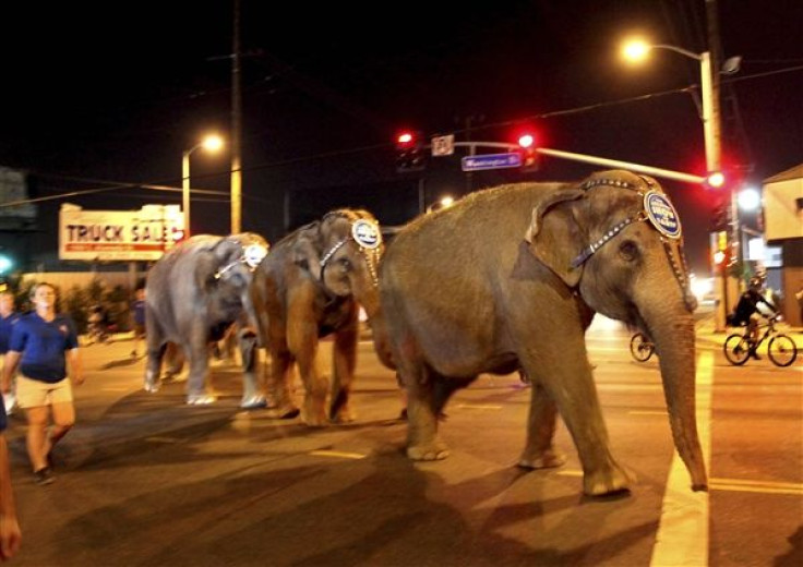 Ringling Bros. and Barnum & Bailey