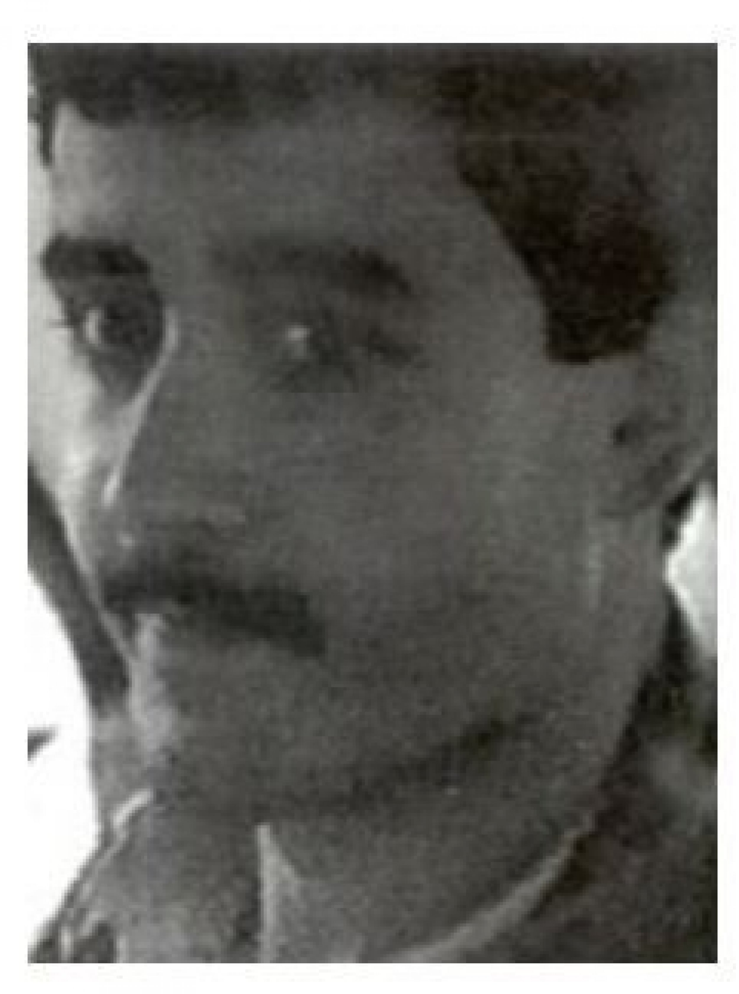 Ali Atwa