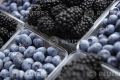 Study: Red Wine, Blueberries, Passion Fruit Aid Obesity and Weight Loss