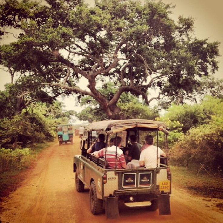 Yala National Park