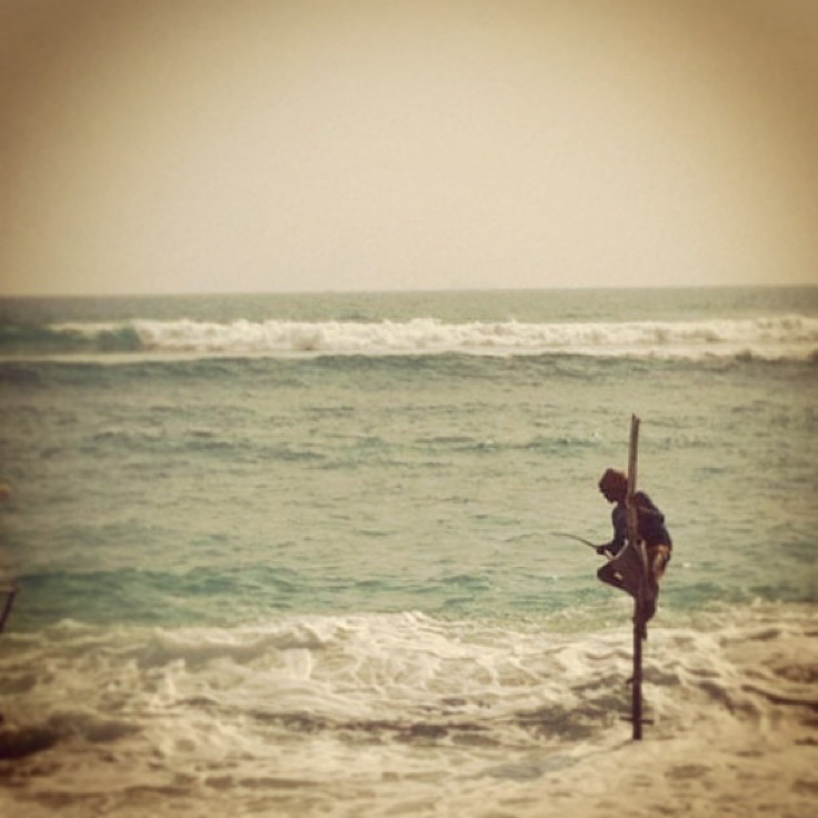 Stilt fisherman