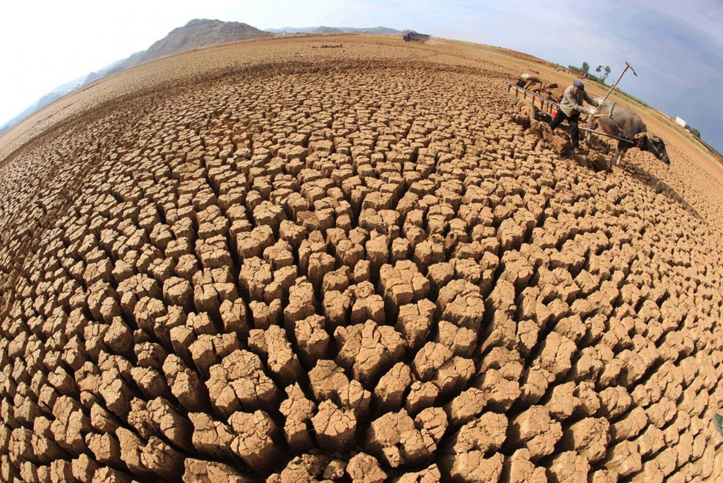 Drought Ridden Farmland