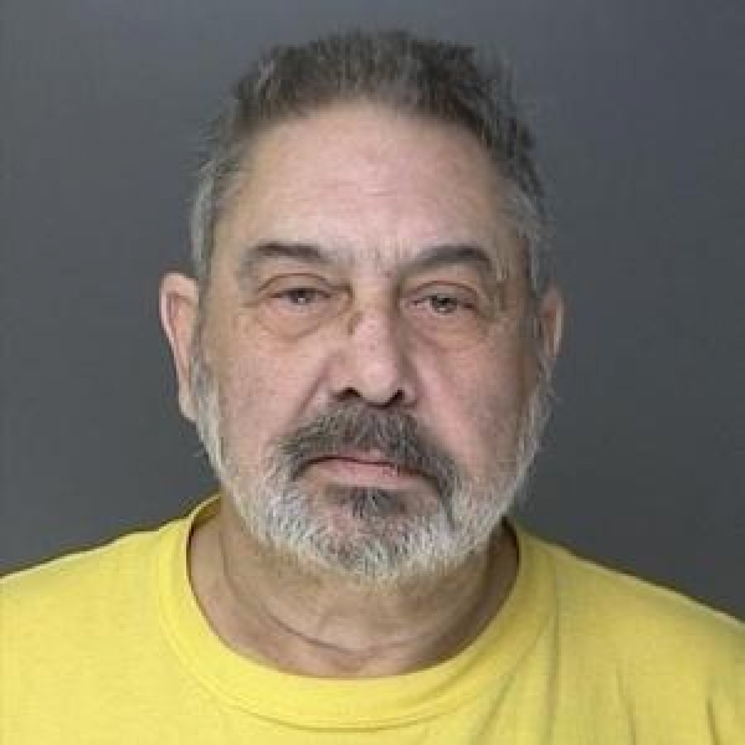 300 Guns Seized From New York Home: Jay Steiner Allegedly Ran Illegal ...