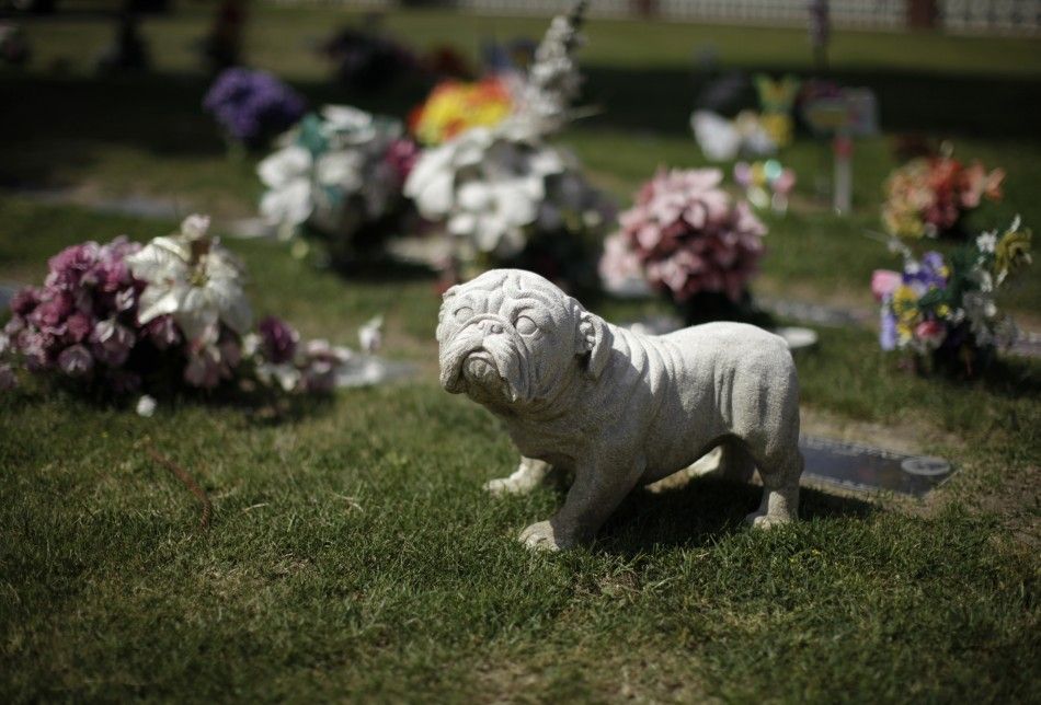 Memorial is seen at pet cemetery in Huntington Beach