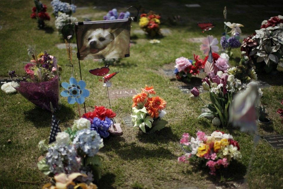 Headstones are seen at a pet cemetery in Huntington Beach
