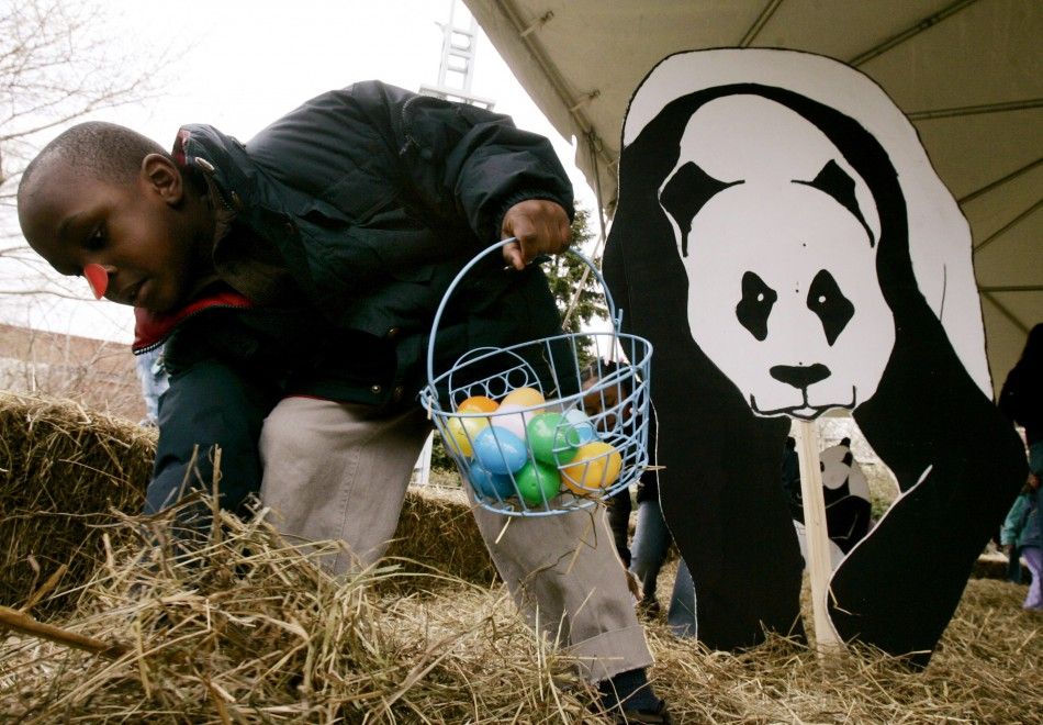 Jalen Ayers, 6, digs through a pile of hay as he takes part in an Easter egg hunt at the National Zoo in Washington, April 9, 2007.