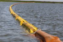 Oil absorbent boom protects marsh land from BP&#039;s Deepwater Horizon spill