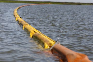 Oil absorbent boom protects marsh land from BP&#039;s Deepwater Horizon spill