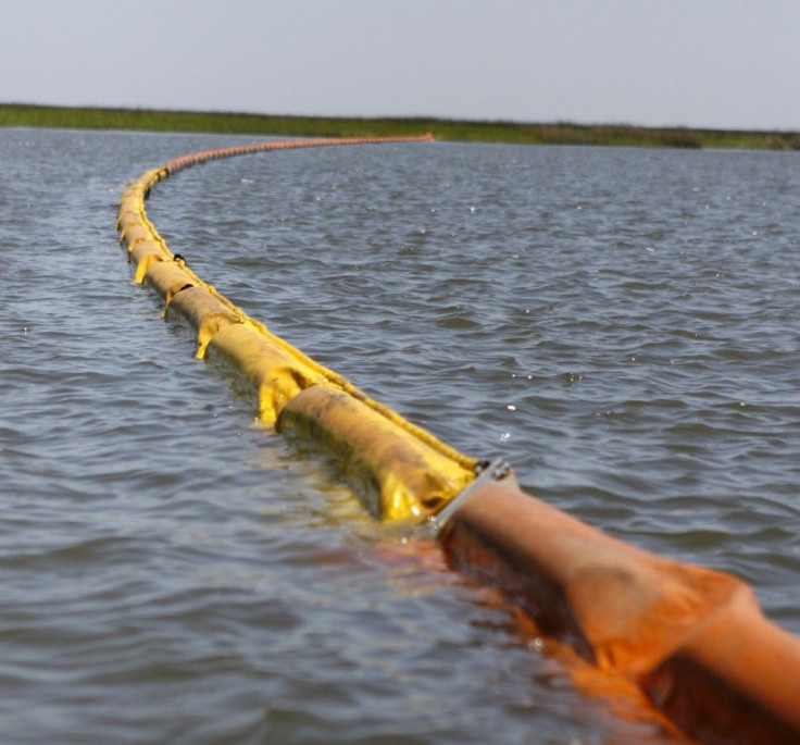 Oil absorbent boom protects marsh land from BP&#039;s Deepwater Horizon spill