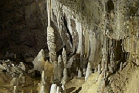 Antibiotic-Resistant Bacteria Found In Ancient Cave