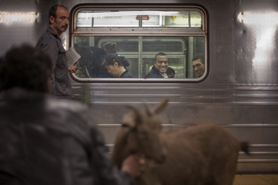 Cyrus Fakroddin and his pet goat Cocoa wait for the C train in New York