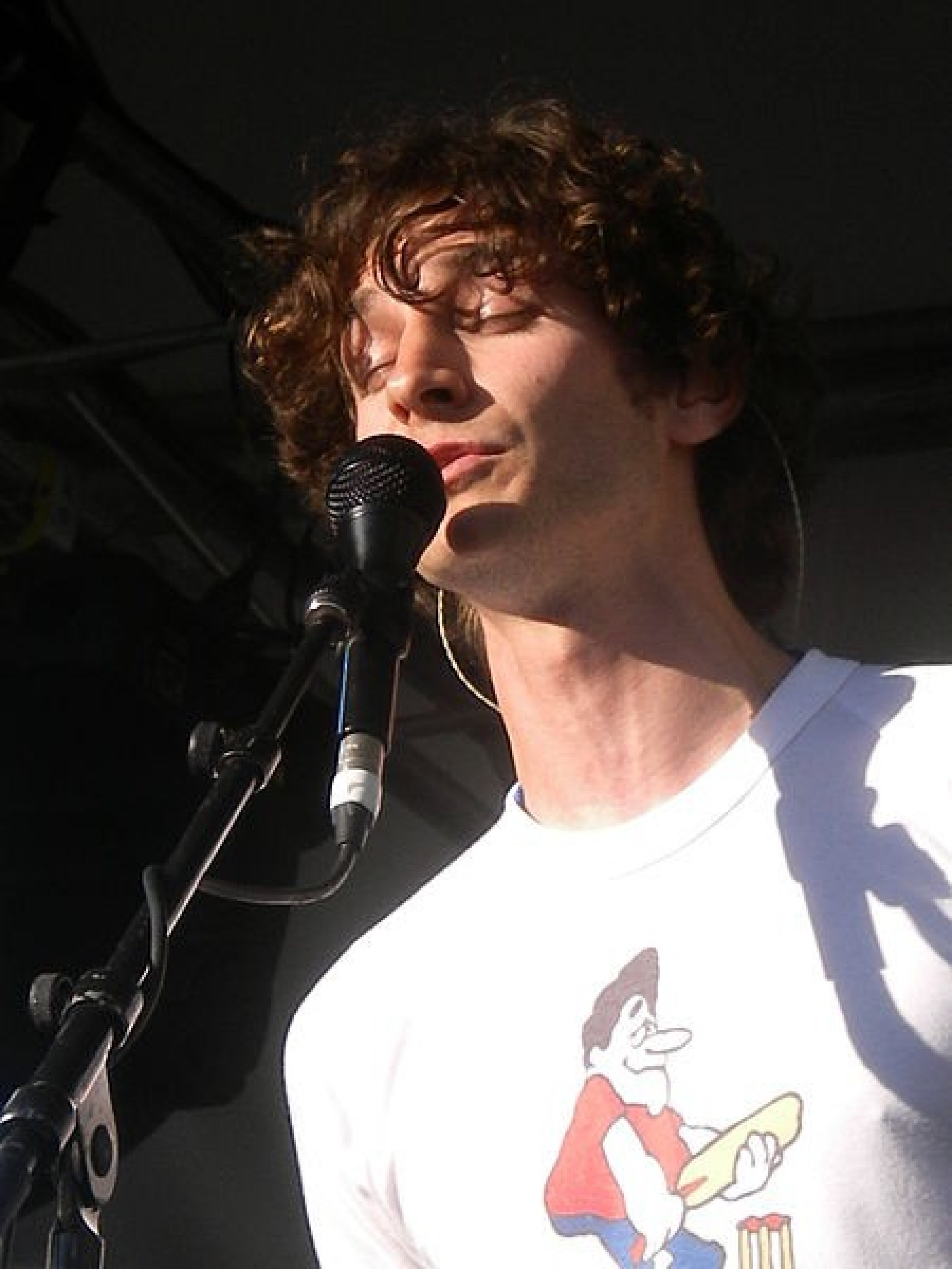 Gotye 5 Things To Know About the Up-And-Coming Musician VIDEO