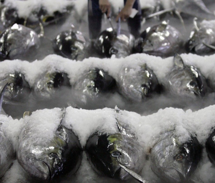 A man inspects yellowfin tuna at the fishing port of Donggang, Pingtung county, southern Taiwan May 19, 2010.