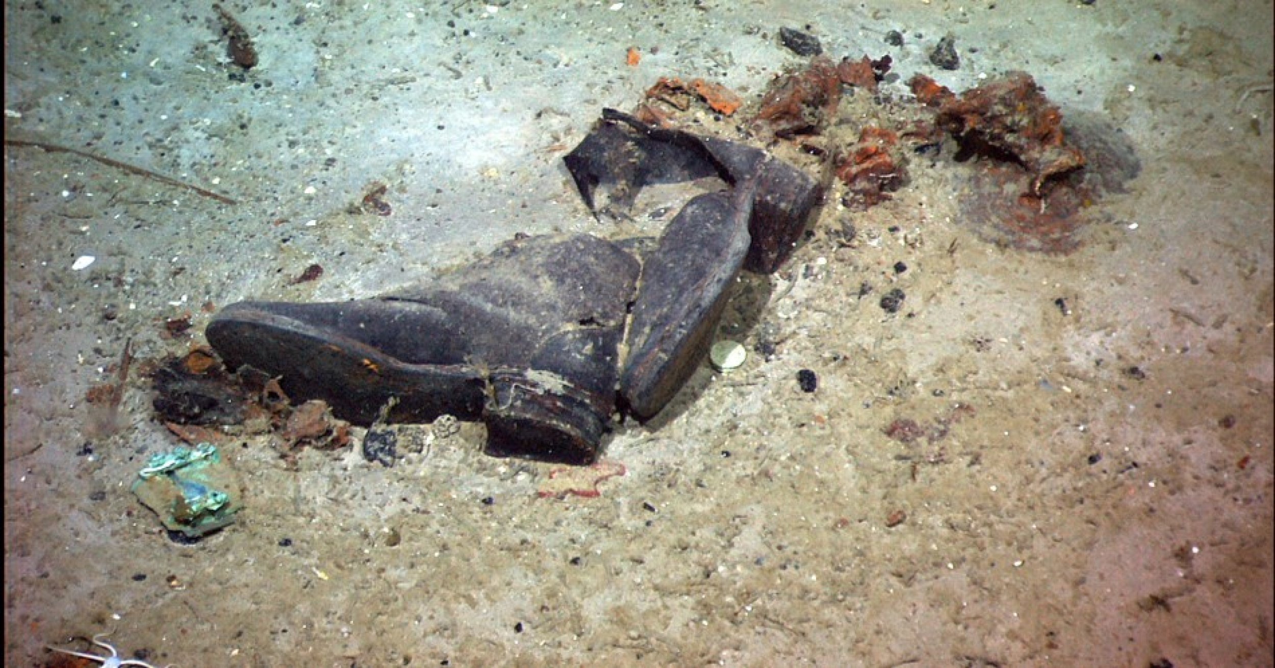 Human Remains Uncovered At Titanic Shipwreck Area [PHOTO] | IBTimes