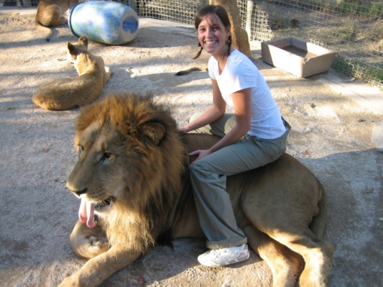 Vistor Sits on Lion at Lujan Zoo