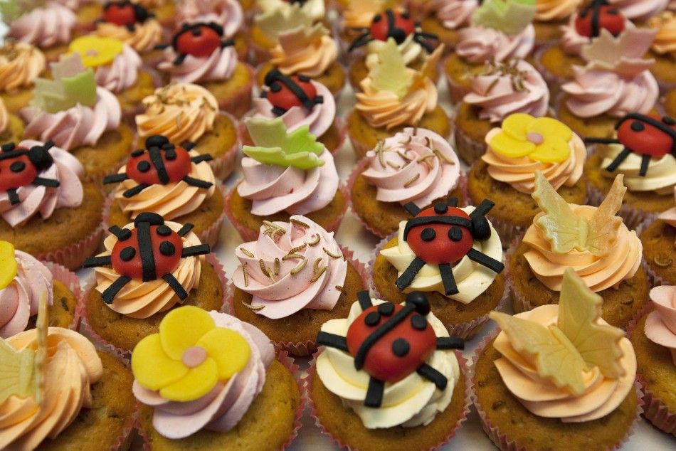 Cupcakes Made From Insects