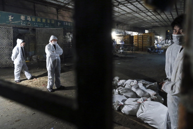 China Bird Flu