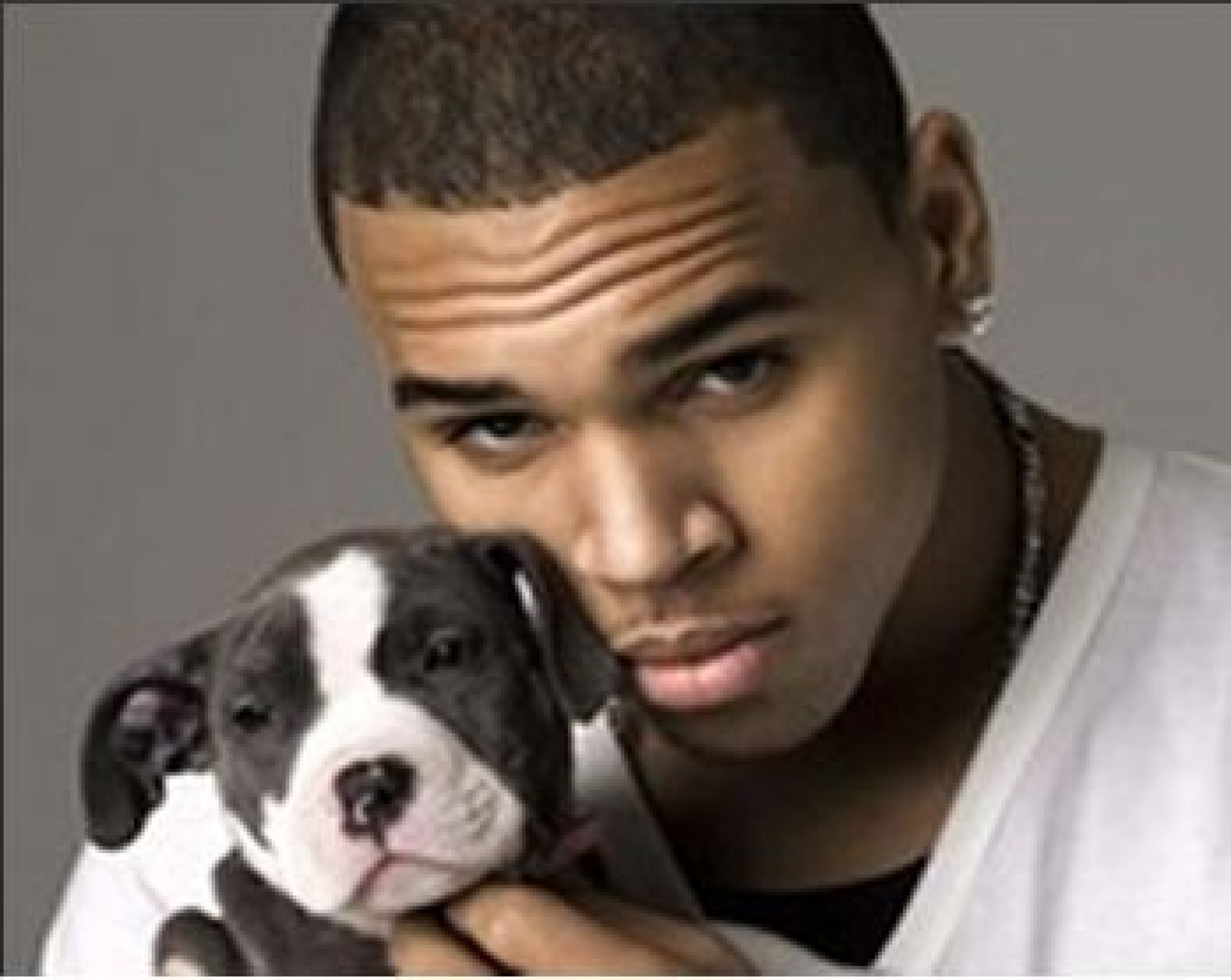 Chris Brown Sells Puppies - Chris With Puppy