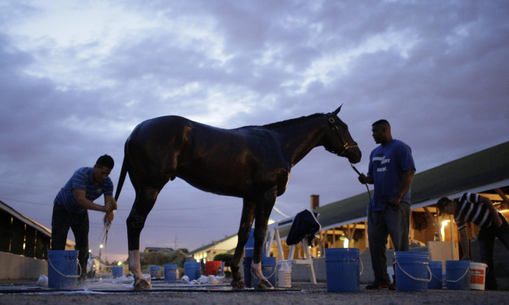 Verrazano Kentucky Derby 2013