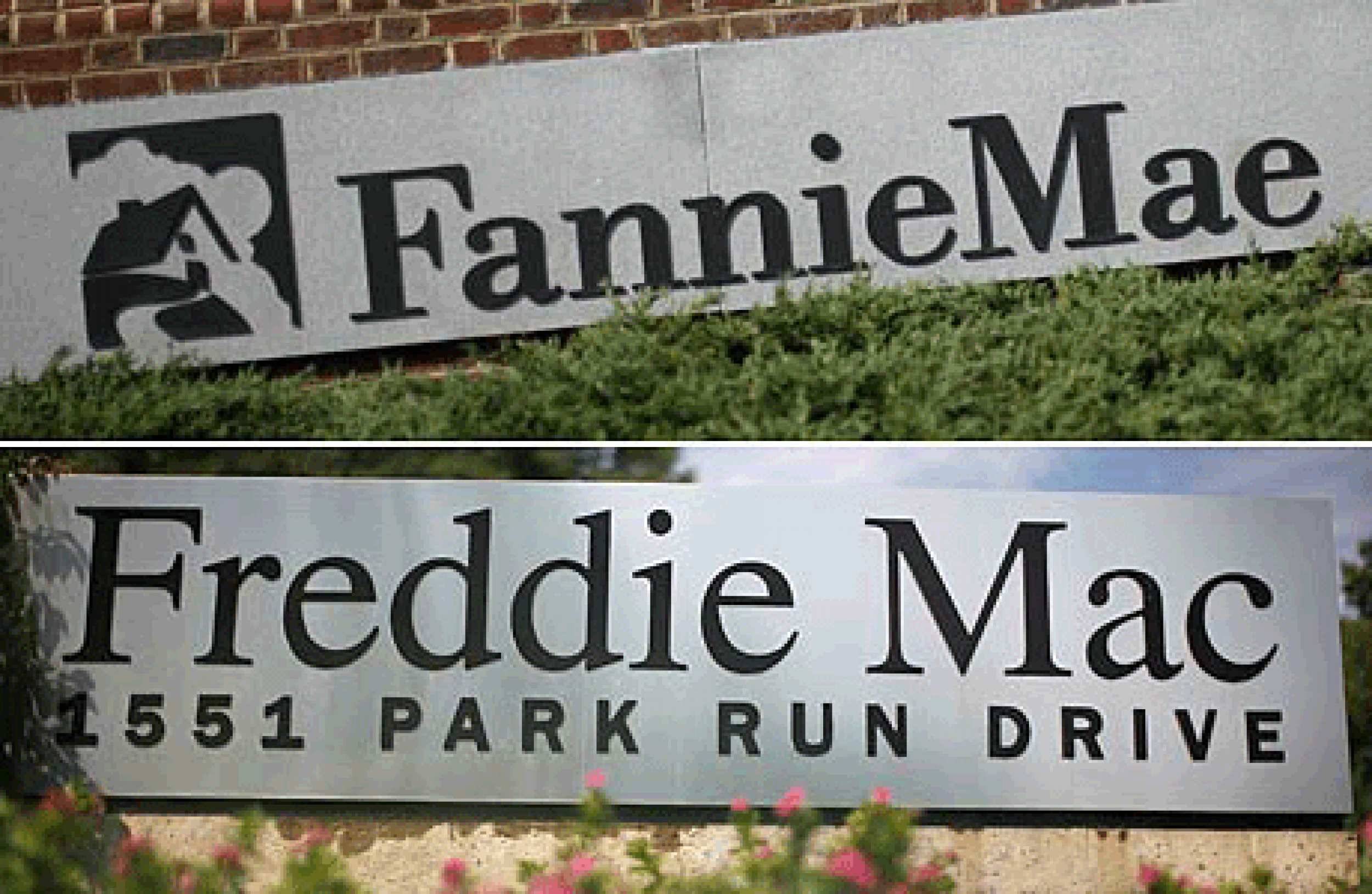 fannie mae crypto currency