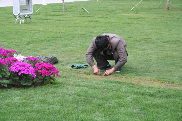 Pyongyang Greenery