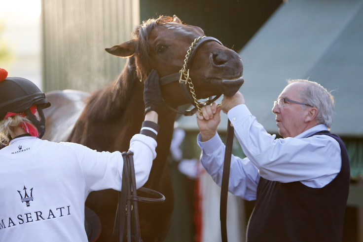 Orb Preakness 2013