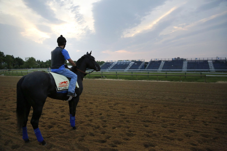 Mylute Preakness 2013