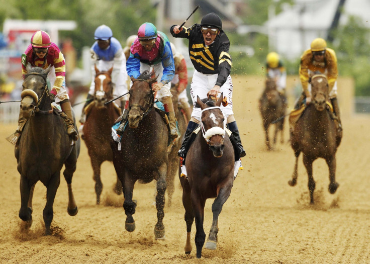 Oxbow Preakness 2013