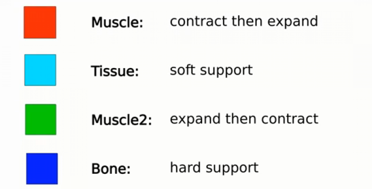 squishyrobots_materials