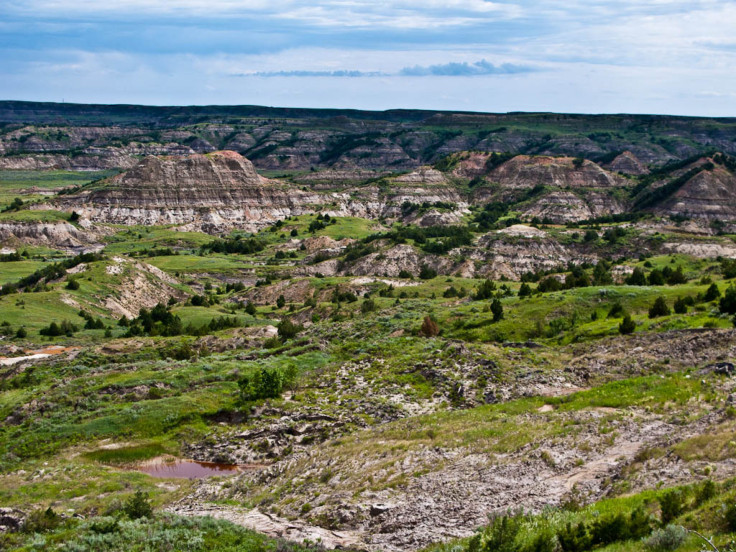 Theodore Roosevelt National Park