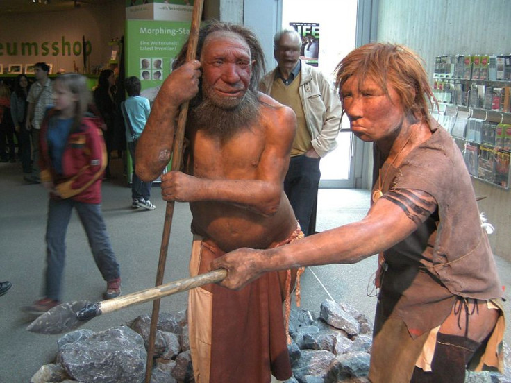 Neanderthal