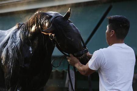 Orb 2013 Belmont Stakes