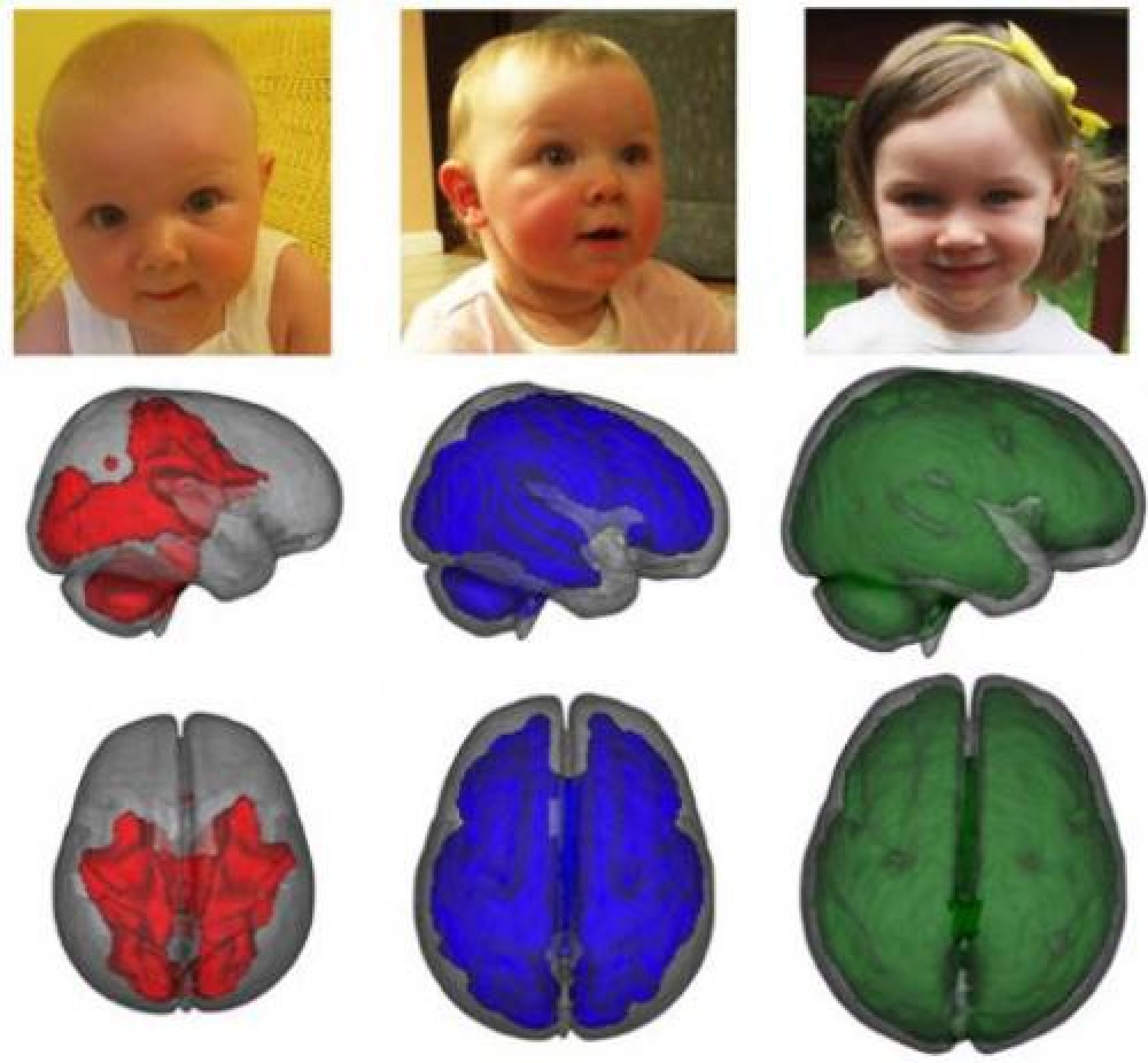 Секреты развития мозга ребенка