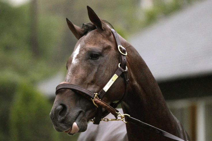 Oxbow Belmont 2013