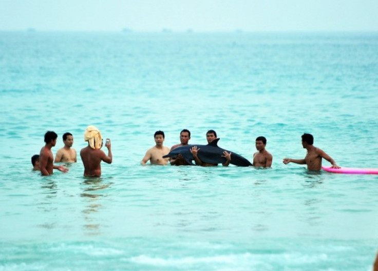 Beached Dolphin on Sanya, China shore