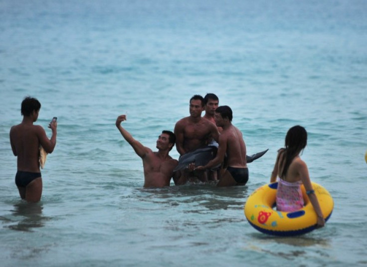 Beached Dolphin on Sanya, China shore