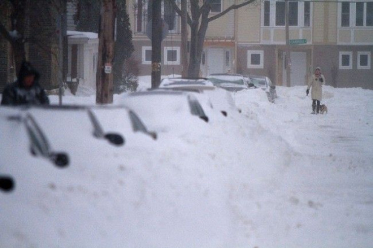 A woman walks her dog down a street lined with vehicles buried in snow during a blizzard in Milwaukee, Wisconsin February 2, 2011.