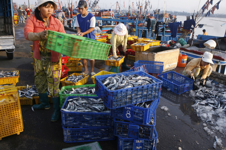 Fishing Market, Nha Trang, Vietnam