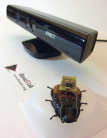 Remotely Controlled Real Cockroaches