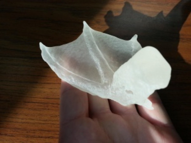 3D Printed Duck Foot 1