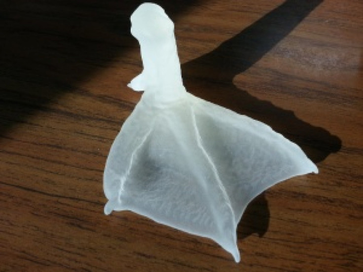 3d Printed Duck Foot 2