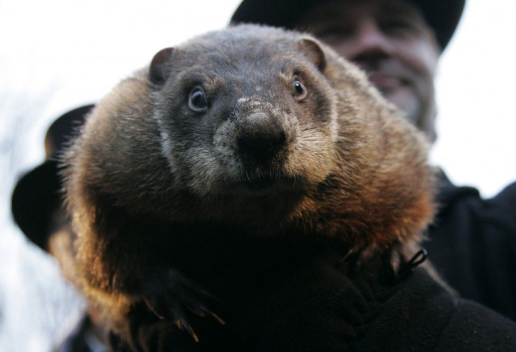 What will Punxsutawney Phil predict for 2012?