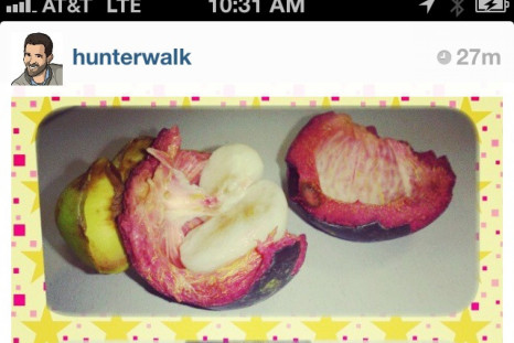 Instagram fruit spam