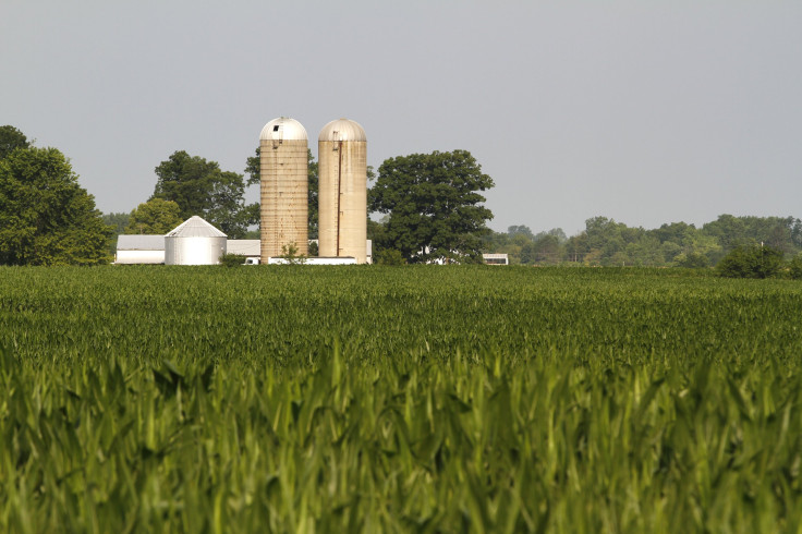 Farm wheat Indiana 2012