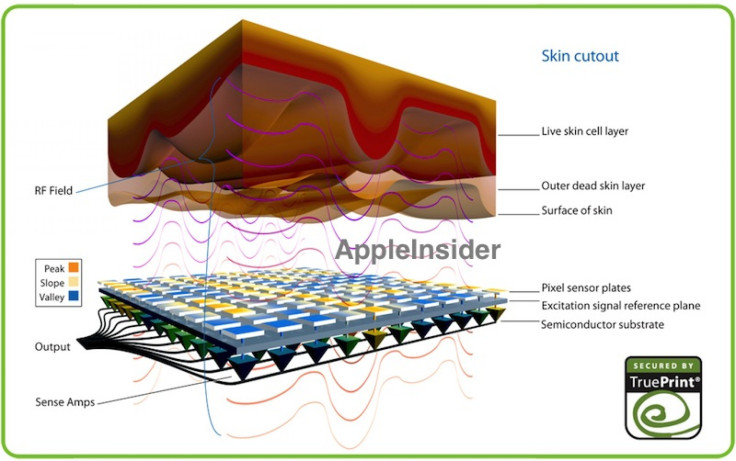 iphone-5s-fingerprint-sensor