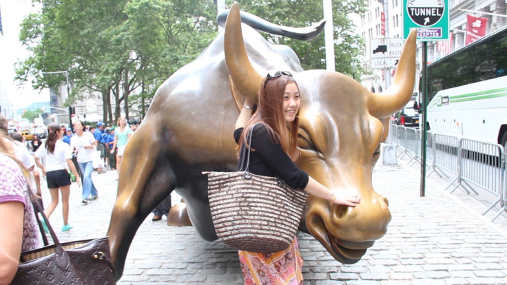 Bull and Tourist